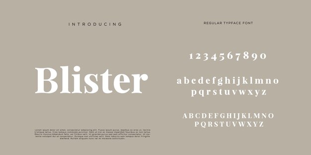 Eleganti lettere dell'alfabeto font e numero con lettere classiche modalità tipografica di design di moda minimale