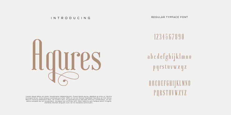 Eleganti lettere dell'alfabeto font e numero con lettere classiche modalità tipografica di design di moda minimale