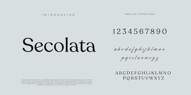Eleganti lettere dell'alfabeto font e numero con lettere classiche modalità tipografica di design di moda minimale
