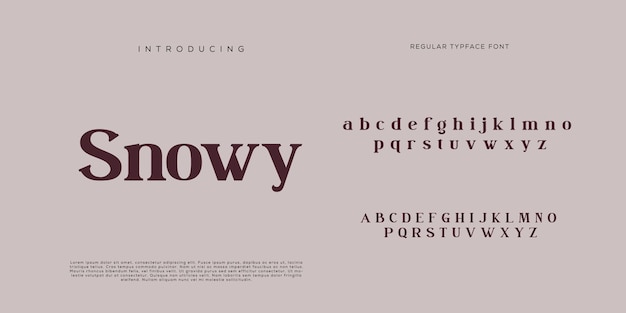 Eleganti lettere dell'alfabeto font e numero con lettere classiche modalità tipografica di design di moda minimale