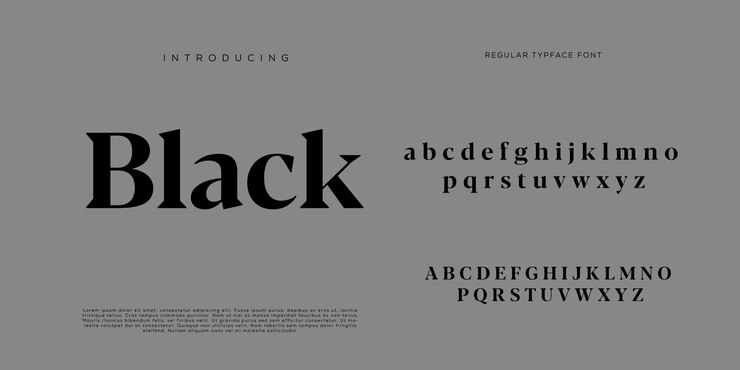 Eleganti lettere dell'alfabeto font e numero con lettere classiche modalità tipografica di design di moda minimale