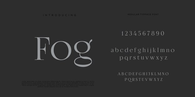 Eleganti lettere dell'alfabeto font e numero con lettere classiche modalità tipografica di design di moda minimale
