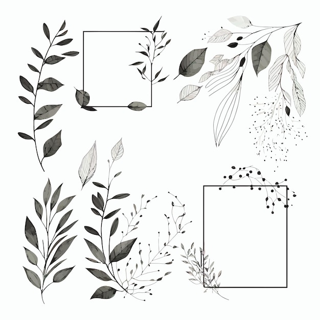 Elementi botanici minimi della cornice del matrimonio su sfondo bianco Illustrazione disegnata a mano isolata su sfondo bianco