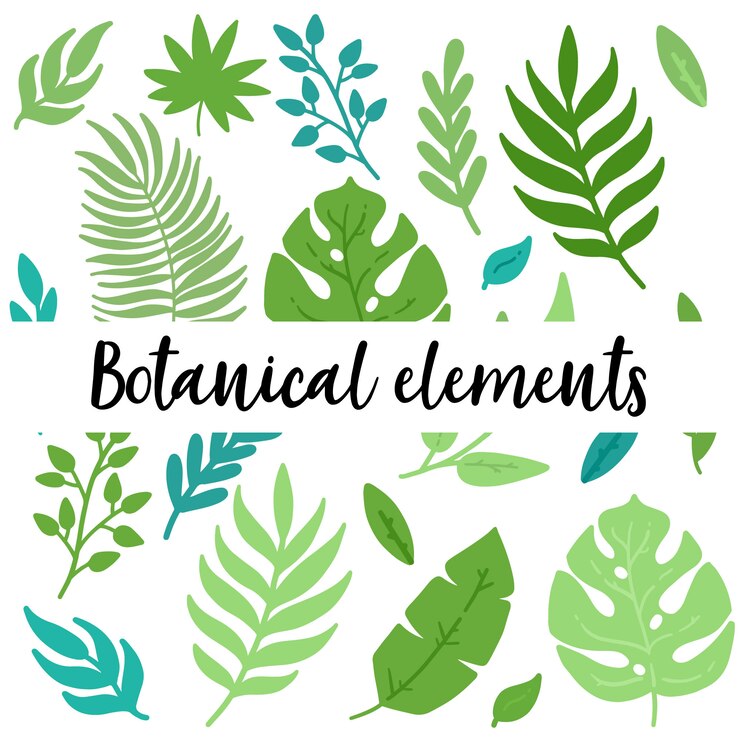 Elementi botanici