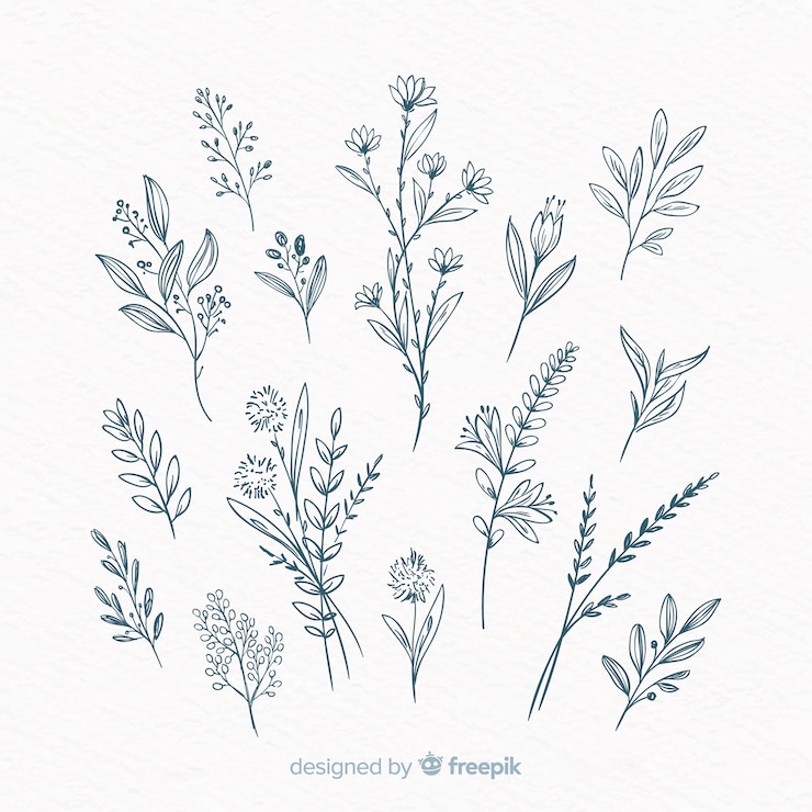 Vettore elementi decorativi floreali disegnati a mano