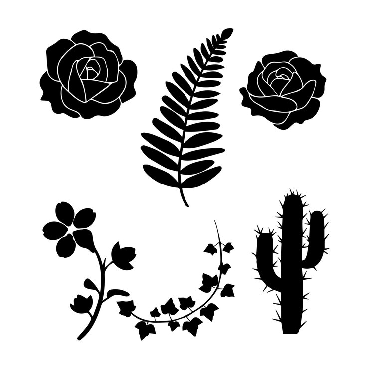 Vettore elementi di disegno della silhouette un petalo di rosa una foglia di felce un cactus un dente di leone un fiore di ciliegio