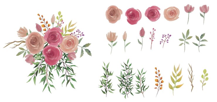 Vettore elementi di fiori e foglie ad acquerello e bouquet di fiori ad acquerello