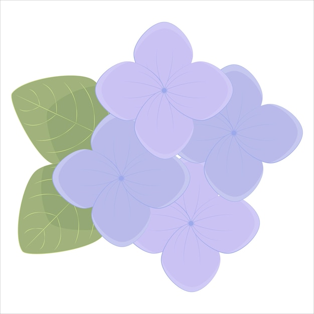 Elemento decorativo Fiore di ortensia viola
