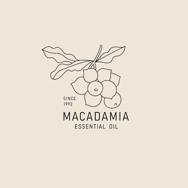 Elemento di design dell'imballaggio vettoriale e icona in stile lineare olio di macadamia cibo vegano sano Segno del logo