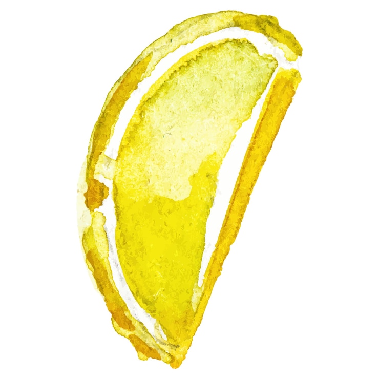 Vettore elemento di design di frutta fresca disegnato a mano isolato su sfondo bianco