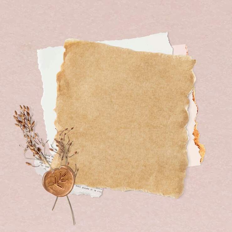 Vettore elemento vettore di collage di carta strappata femminile