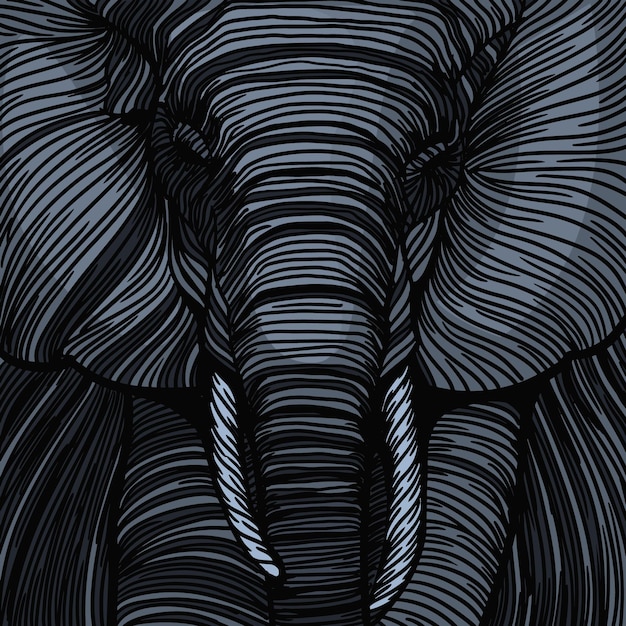 Elephant Illustrazione