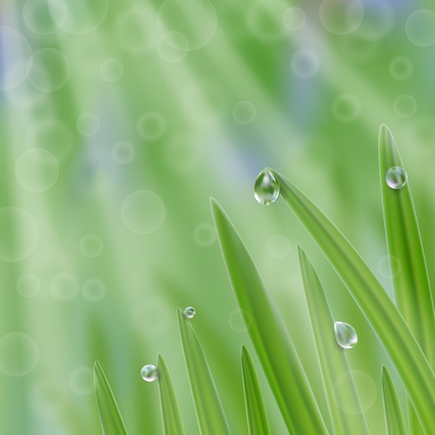 Erba in goccioline d'acqua con sfondo di raggi solari Una composizione fresca della natura
