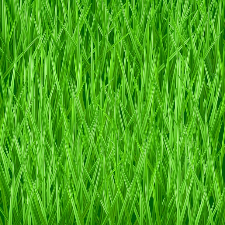 Vettore erba verde fresca