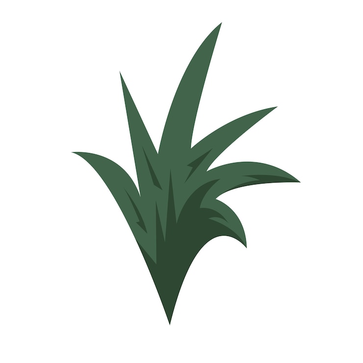 Vettore erba verde vettoriale etichette ecologiche biologiche naturali e forme su sfondo bianco