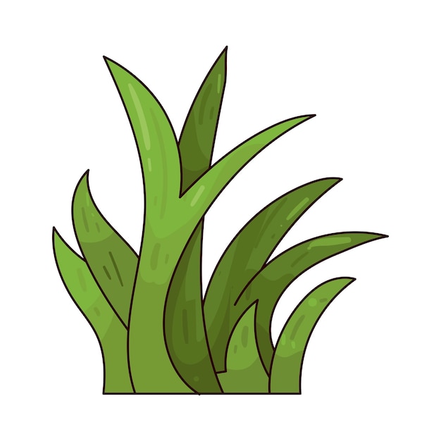 erba