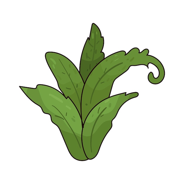erba