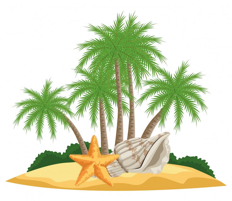 Vettore estate spiaggia e vacanze cartoon