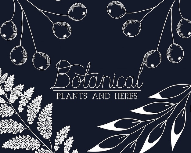 Etichetta botanica con piante ed erbe