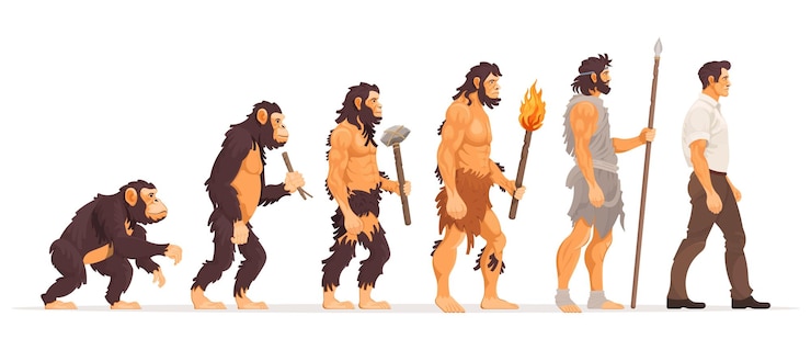 Vettore evoluzione umana dalla scimmia all'uomo moderno concetto processo di crescita con la scimmia che cammina in piedi
