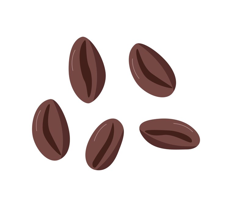 Vettore fagioli di caffè per la preparazione del caffè illustrazione vettoriale isolata su uno sfondo bianco