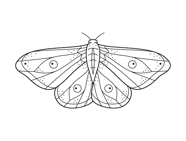 Falena notturna stilizzata in bianco e nero Disegnata a mano linea arte ornata illustrazione vettoriale Design naturale