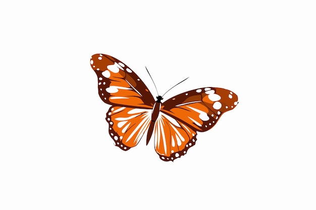 Farfalla acquerellata su sfondo bianco