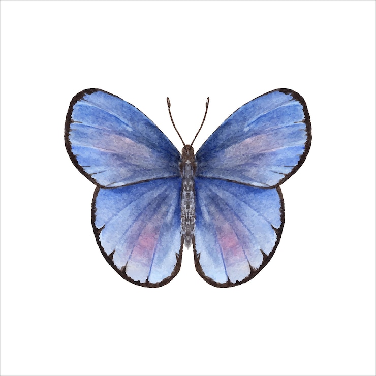 Vettore farfalla blu farfalla rame insetto volante illustrazione ad acquerello