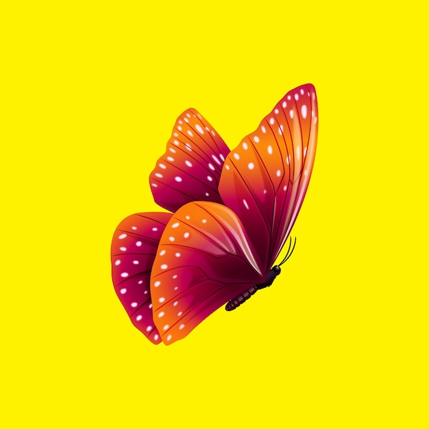 farfalla isolata su sfondo giallo