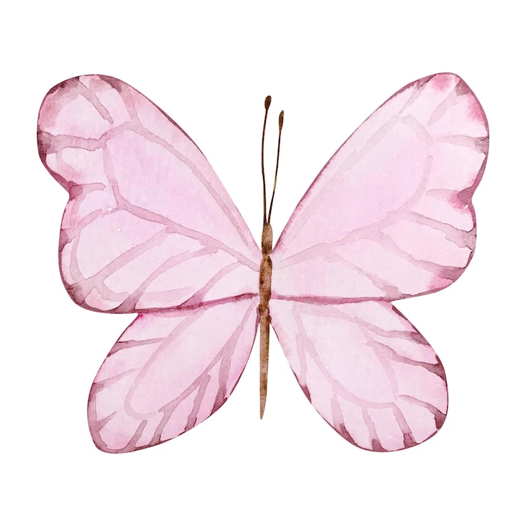 Vettore farfalla rosa acquerellata