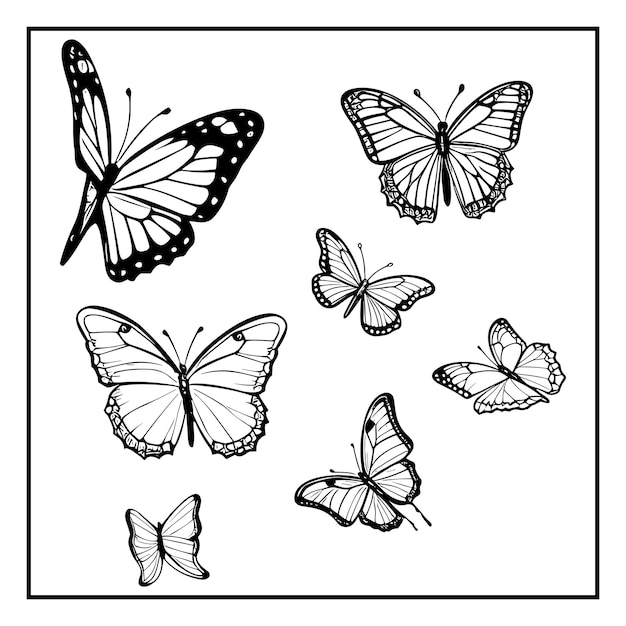 farfalla