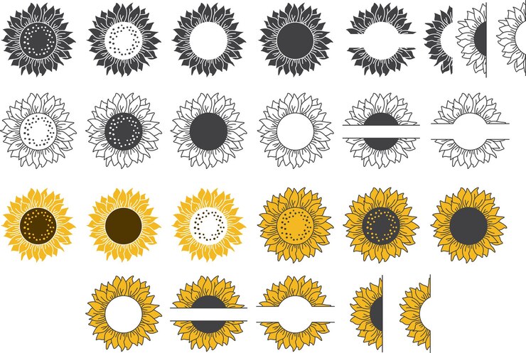 Fascio vettoriale di girasoli Cornice del bordo del monogramma
