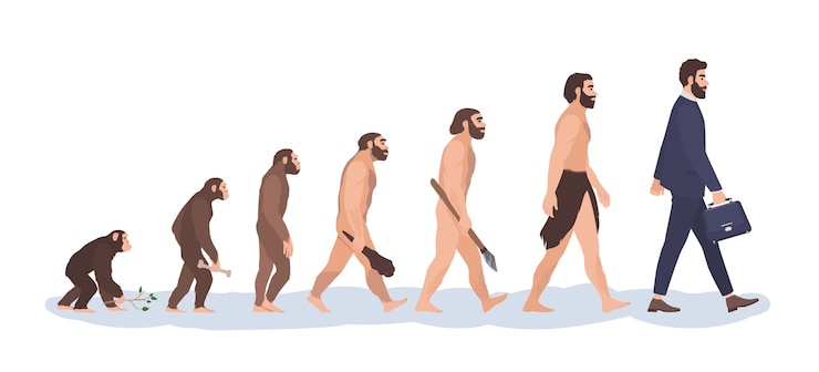 Vettore fasi dell'evoluzione umana.