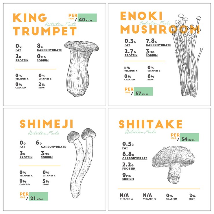 Fatto di nutrizione del set di funghi