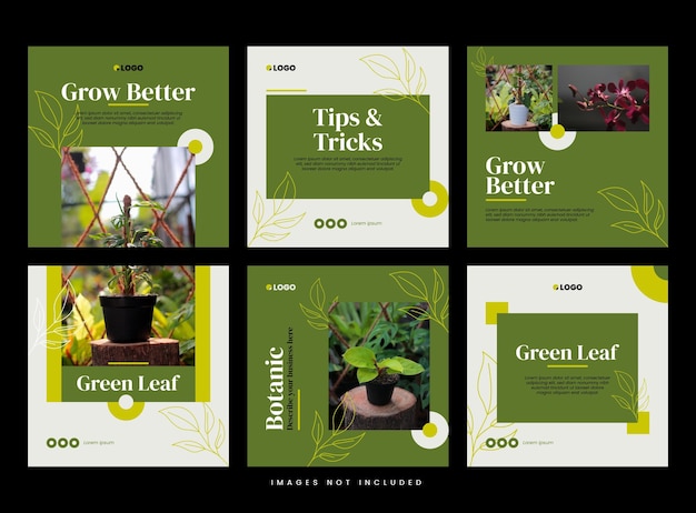 feed di puzzle botanici sui social media
