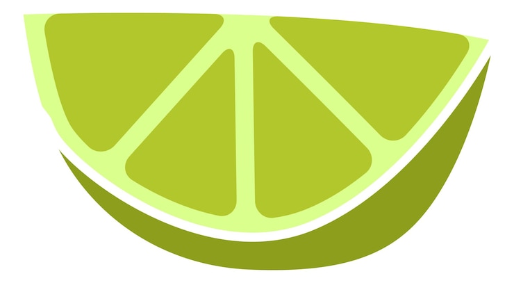 Vettore fetta di agrumi verde pezzo di frutta fresca di lime