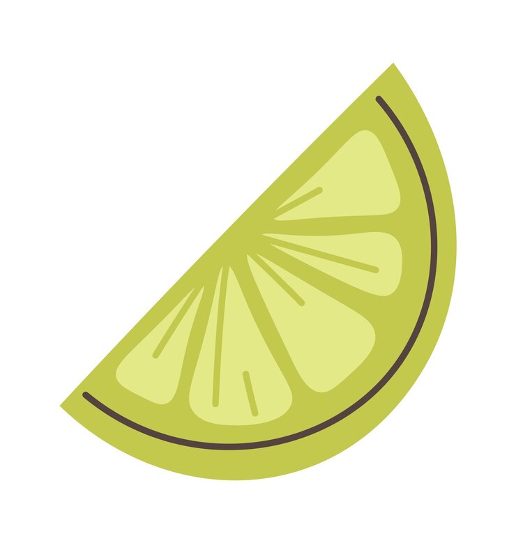 Vettore fetta di frutta di lime