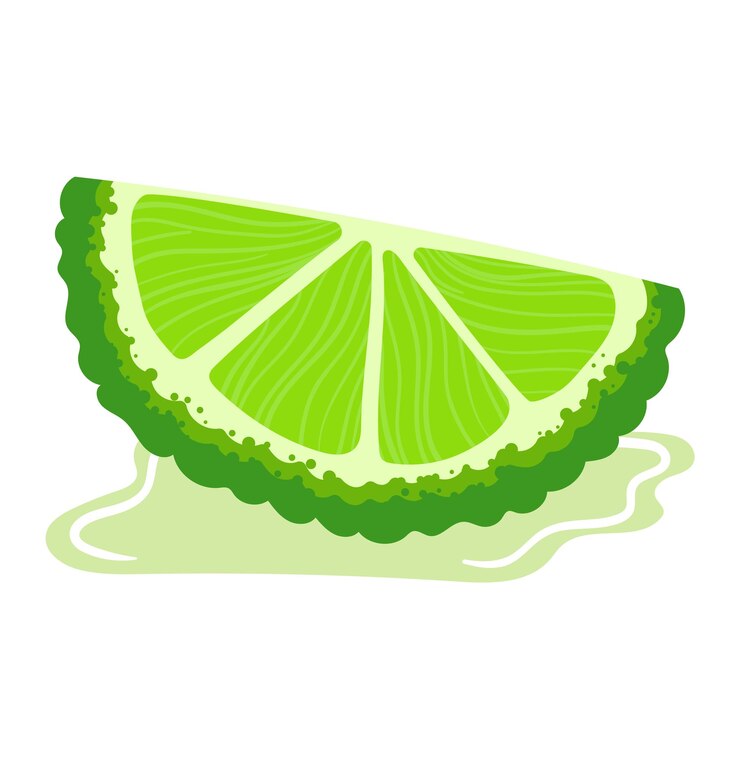 Vettore fetta di frutta verde di agrumi organici isolata su illustrazione vettoriale bianca bergamotto succoso tropicale in bergamotto arancione naturale di colore fresco