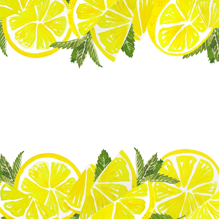 Vettore fetta di limone agli agrumi dell'acquerello con menta