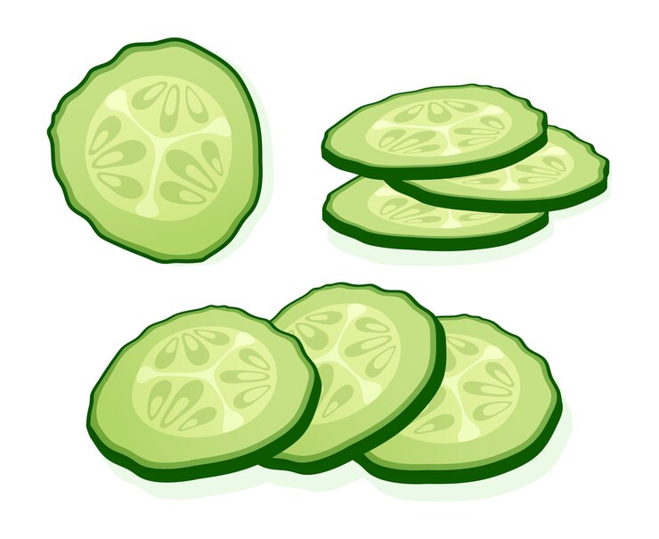 Vettore fette di cetriolo fresco affettato isolati su sfondo bianco. pezzo rotondo verde di cetriolo. illustrazione.