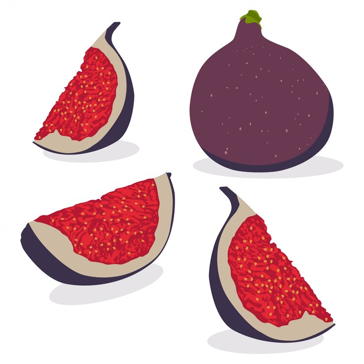Vettore fico intero e fetta. insieme del fumetto di vettore dell'illustrazione della frutta tropicale di estate isolata