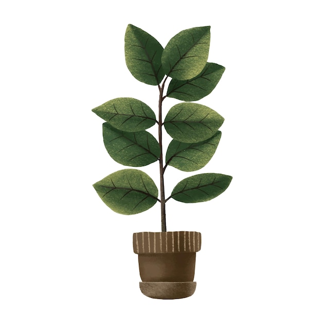 FicusHouseplant in vaso Fiore di casa Illustrazione isolata con pianta d'appartamento Casa accogliente