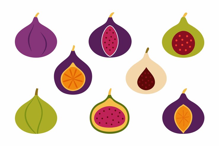 Vettore fig color art illustrazione dinamica brillante artistica creativa visione colorata