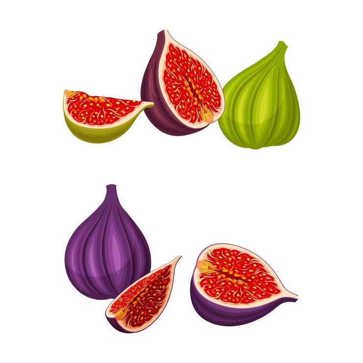 Vettore fig tropical fruit set whole and sliced ripe fruit for healthy diet vector illustration
