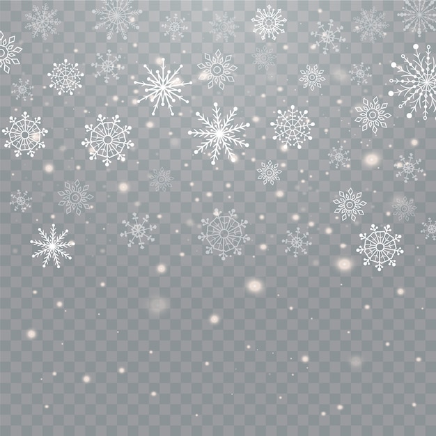 Fiocchi di neve cadere realistici isolati su sfondo trasparente.