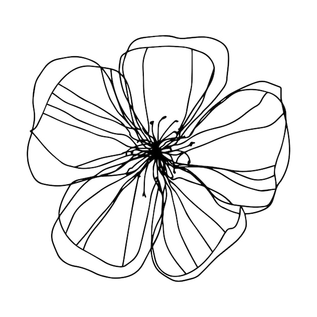 Fiore di contorno floristico botanico boccioli aperti Vettore isolato minimalista fiore bianco e nero