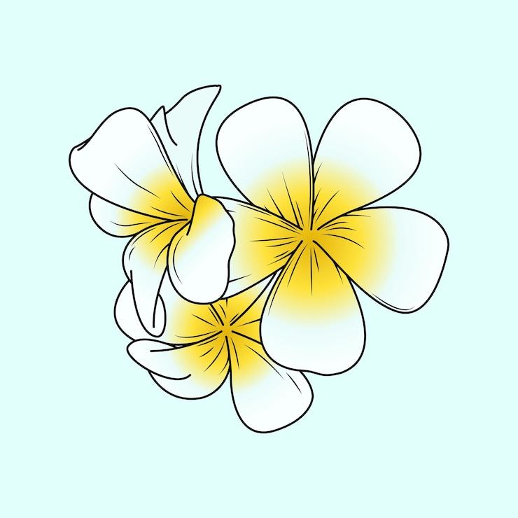 Vettore fiore di plumeria