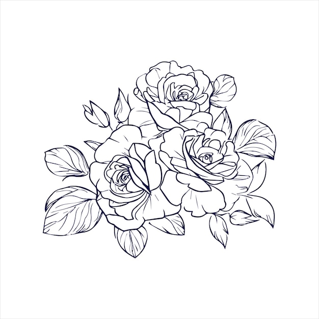 Fiore di rosa cinese con disegno a mano