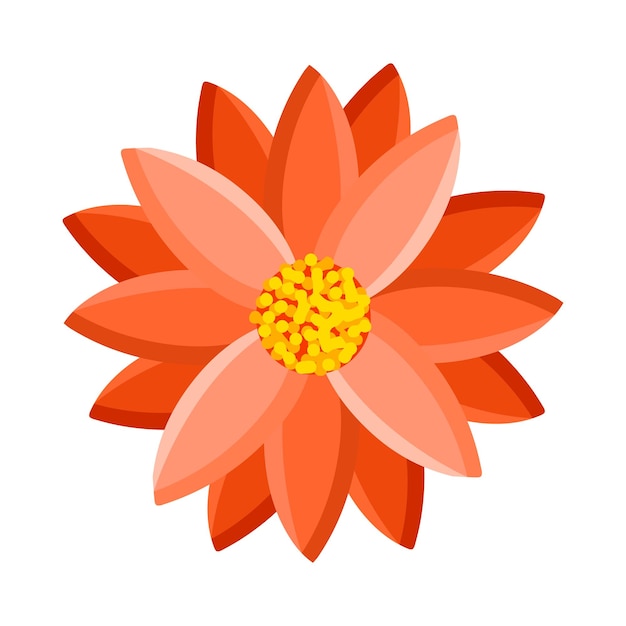 Fiore luminoso di gerbera crisantemo o margherita Botanico illustrazione vettoriale isolato su sfondo bianco per poster cartolina tessuto arredamento e altri usi