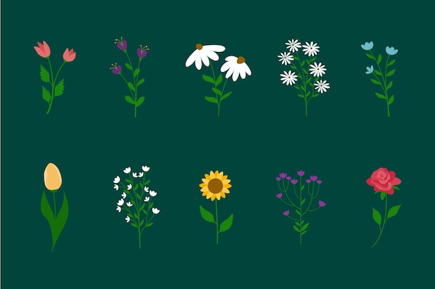Fiore primaverile disegnato a mano